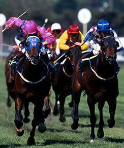 Horse Racing
